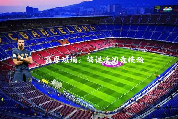 高原球场:被误读的竞技场