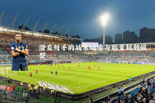 潜在对手的战术镜像与能量耗散模型