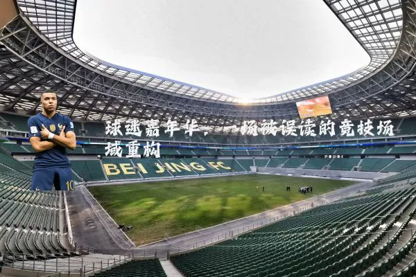 球迷嘉年华:一场被误读的竞技场域重构